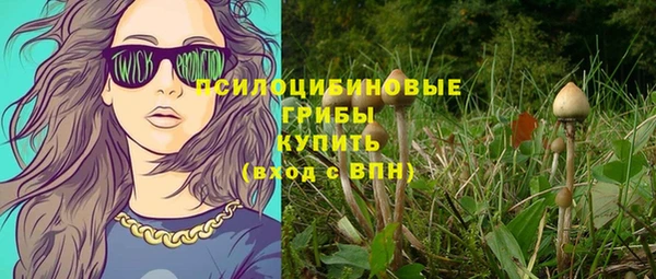 каннабис Корсаков