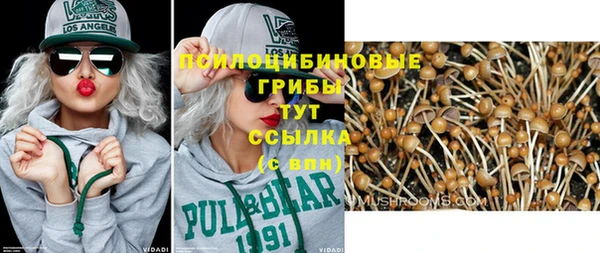 каннабис Корсаков