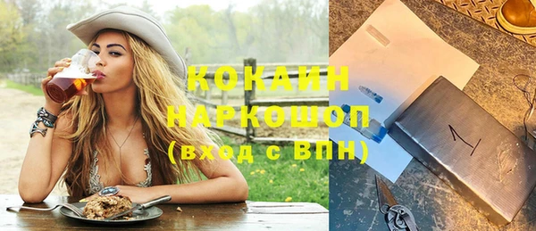 гашик Кодинск
