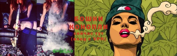 твердый Коряжма