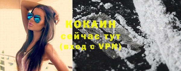каннабис Корсаков