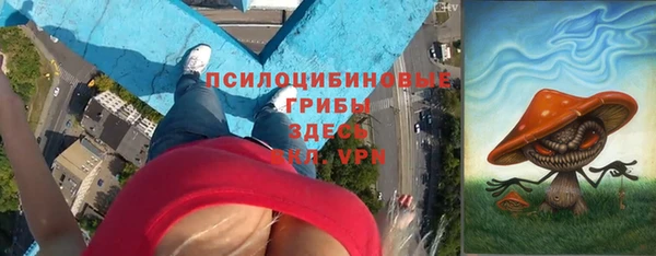 спайс Козловка