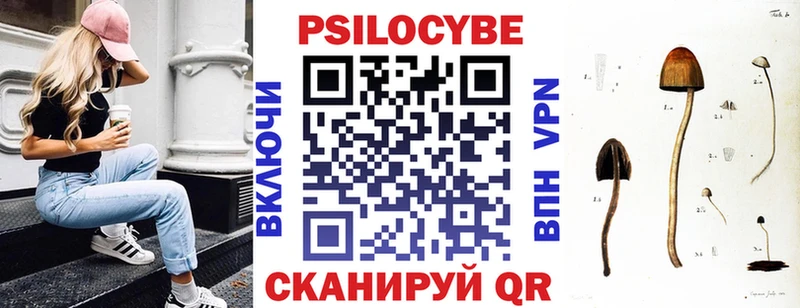 Галлюциногенные грибы Psilocybine cubensis Киреевск